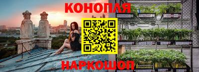 spice Изобильный