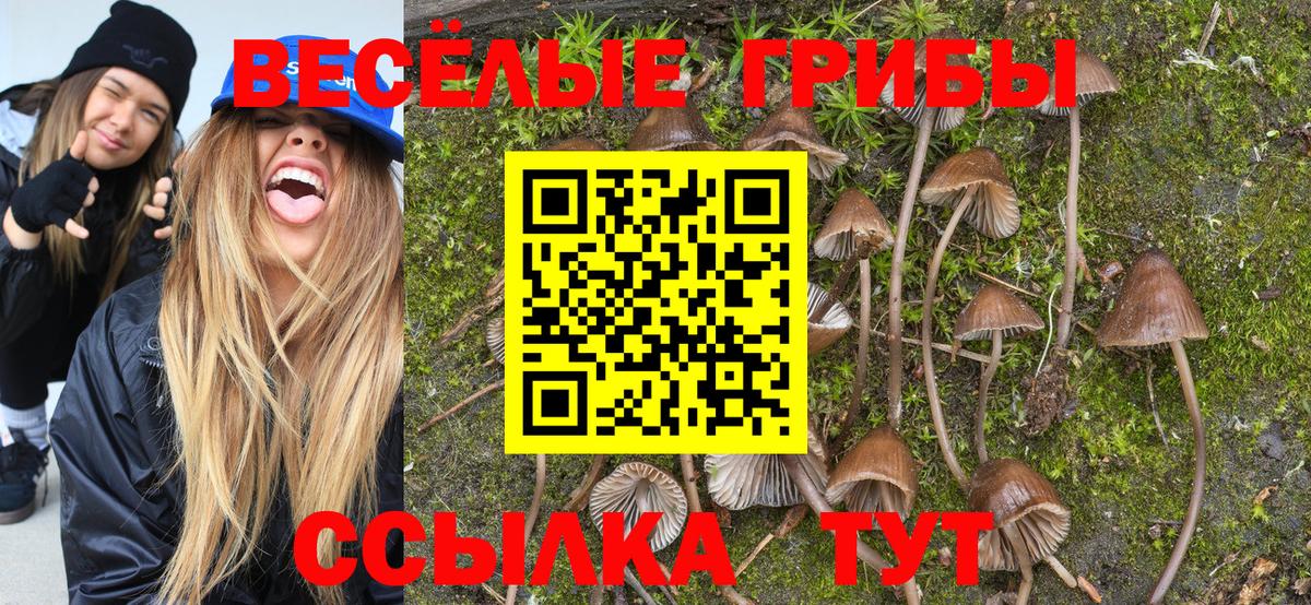 Галлюциногенные грибы MAGIC MUSHROOMS  Вход с VPN  Верхний Уфалей 